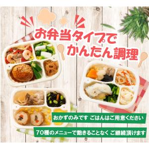 人工透析食 12食セット *国内製造 管理栄養...の詳細画像2