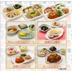 糖尿病性腎症食 14食セット*国内製造 管理栄...の詳細画像2