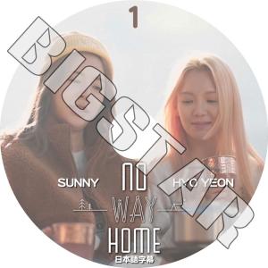 K-POP DVD SNSD HyoYeon & Sunny NO WAY HOME #1 日本語字幕あり 少女時代 GIRLS GENERATION ヒョヨン サニー KPOP DVD｜ssmall