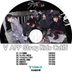 K-POP DVD Stray Kids V APP Cut 15 日本字幕あり ストレイキッズ KPOP DVD