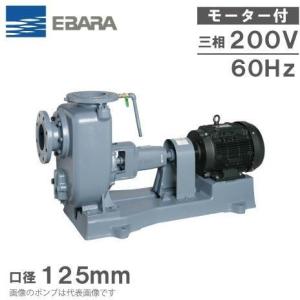 テラル 自動交互型 水中ポンプ 汚水 雑排水 排水ポンプ 50PVT-5.75