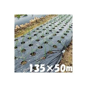 マルチシート 楽天市場】穴あきホールマルチ 0.02mm 95×50m 黒 10本セット