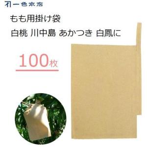 柴田屋加工紙 ぶどう用果実袋 ブドウ用袋 100枚 S4号 果実袋 ぶどう