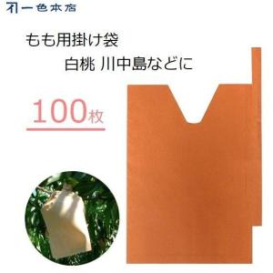 柴田屋加工紙 ぶどう用果実袋 ブドウ用袋 100枚 S4号 果実袋 ぶどう