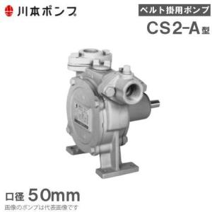 川本ポンプ 水中ポンプ 200V 農業用 揚水ポンプ DUH-505-2.2 DUH506