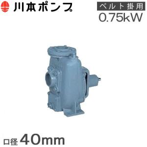 川本ポンプ 水中ポンプ 200V 土木工事用 排水ポンプ DU5-506-0.75 DU5