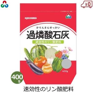 過燐酸石灰 肥料 400g リン酸肥料 酸性肥料 リンサン 国産 花 野菜 栽培 家庭菜園 園芸 朝日アグリア｜ssn-alpresse