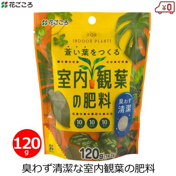 肥料 観葉植物 室内観葉の肥料 120g 多肉植物 屋内 日本製 無臭 清潔 花ごころ 室内