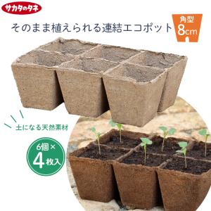サカタのタネ（サカタノタネ） ジフィーセブン 直径30mm 48個入り