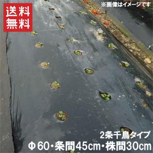 黒マルチ 無孔 厚さ0.02mm×幅95cm×長さ200m 1本／5本 (黒マルチシート