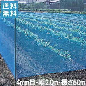 防風ネット(青) 網目2mm×2.0m×50m 防風網 風よけネット 風除けネット