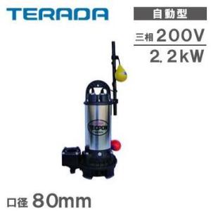 テラダ 家庭用 排水ポンプ 水中ポンプ 100V 小型 汚水用 SG-150C 150w