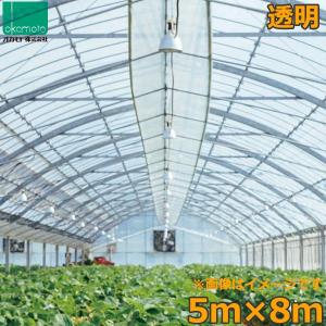 スカイコート5 中接 0.1×570×16 2.5間×7間用屋根ビニール【ビニール
