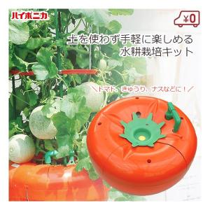 水耕栽培キット 家庭用 家庭菜園 水耕栽培 セット 屋内