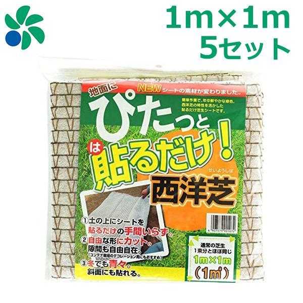 芝生 種まき 養生 育成 貼るだけ芝生シート 1m×1m 5枚セット (5平米分) 植え替え 庭 雑...