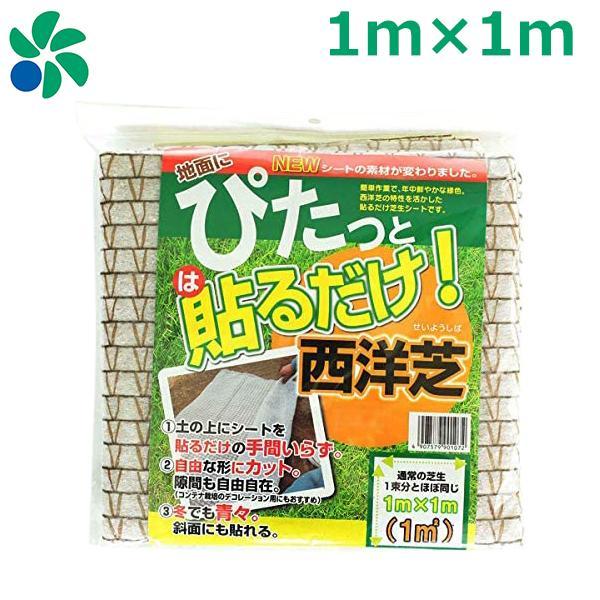 芝生 種まき 養生 育成 貼るだけ芝生シート 1m×1m (1平米分) 植え替え 庭 雑草対策