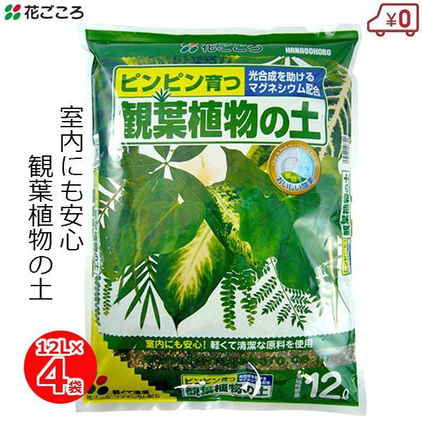 培養土 観葉植物の土 12L×4袋 48L 土 観葉植物 鉢植え 元肥入り 室内 家庭用 園芸 ガー...