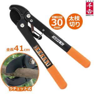【24時間以内発送】あおぎり高校 8枝デッキ　枝門用パーツ付き 24時間以内発送】あおぎり高校 8枝デッキ 枝門用パーツ付き