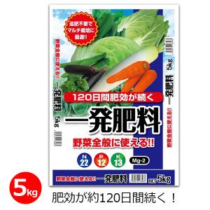 ハイポネックス ネクスコートプロ 14-7-14 野菜苗、果樹苗用 内容量