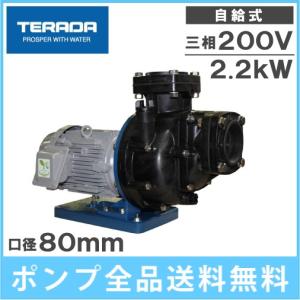 テラダポンプ セルプラモーターポンプ CMP6-52.2E CMP6-62.2E 200V 海水用ポンプ 循環ポンプ 給水ポンプ｜ssnet