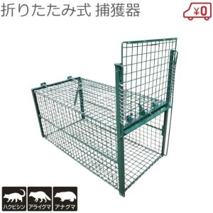 手袋2双進呈) 日本製 AG-4 FT-2 Dtype No.404 栄ヒルズ 保護器1100