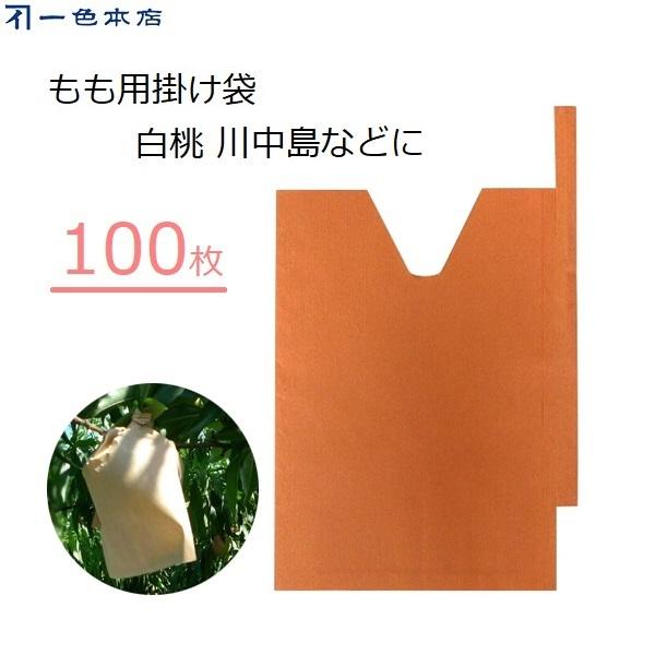 一色本店 もも掛け袋 100枚 果実袋 掛け袋 桃用 Vカット 晩生用 白桃 寒冷対策 害虫対策 #...