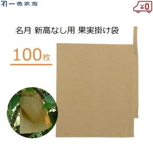 一色本店 なし用掛け袋 100枚 果実袋 掛け袋 梨用 有袋栽培 雨対策 害虫対策 鳥よけ #5 K-11