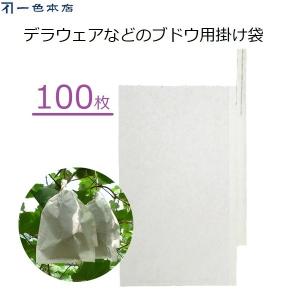 ぶどう専用 ポリ傘 22×22 サシコミ 乳白色 ワンタッチ式 （100枚