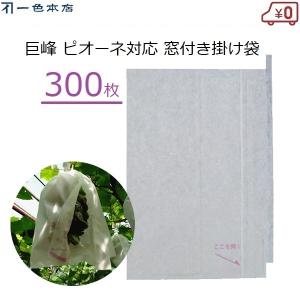 柴田屋加工紙 ぶどう用果実袋 ブドウ用袋 100枚 S4号 果実袋 ぶどう
