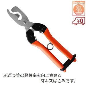 サボテン 2段式 芽キズ鋏 MEBUKI ぶどう 芽傷鋏 芽傷ばさみ 芽キズばさみ 芽傷処理 発芽促進 果樹園 農園 B-11