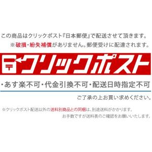 千吉 剣山 大角型 96×70mm ステン針 ...の詳細画像2