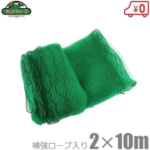 PE養生ネット 5m×5m ポリエチレン 25mm目 万能ネット 園芸ネット