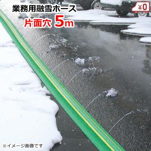カクイチ 消雪ホース 融雪ホース 両穴 40mm×100m 灌水ホース 潅水
