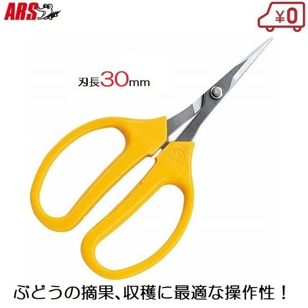 収穫ハサミ ぶどう鋏 収穫鋏 ハサミ 摘果鋏 直刃 果樹園 家庭菜園 園芸 320DX-T 剪定ばさ...