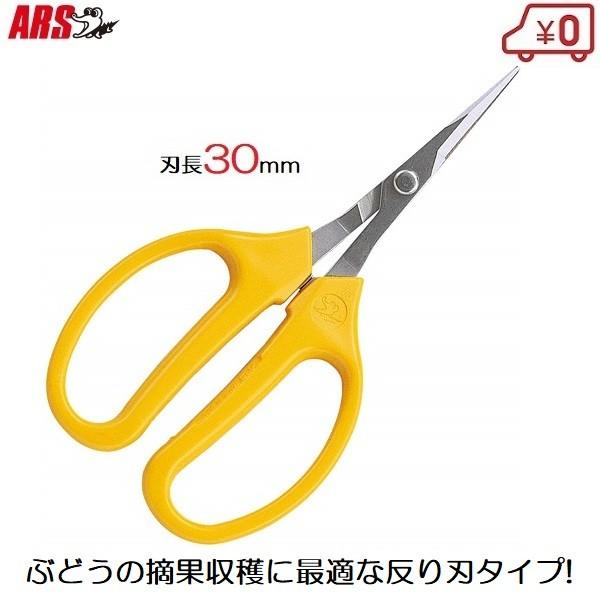 収穫ハサミ ぶどう鋏 収穫鋏 ハサミ 曲刃 ソリ刃 反り刃 摘果 果樹園 家庭菜園 320DX-M ...