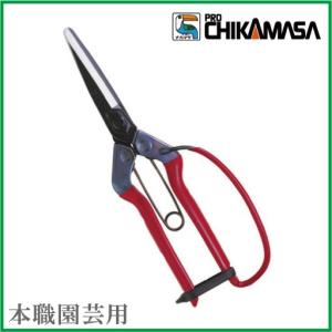 CHIKAMASA（近正） (徳用12丁セット) (標準包装) 青果鋏 ガード付 T