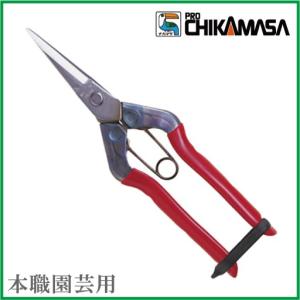 チカマサ 収穫ハサミ 芽切狭 芽切鋏 ステンレス T-550S 近政 芽切 採果 果樹 摘粒 摘果作業 盆栽鋏 収穫鋏 果樹 野菜 剪定ばさみ