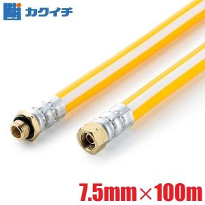 ドウフン ホース Amazon | 十川ゴム 動噴ホース HI-DX-3スプレーホース 4.0Mpa