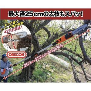 高枝切り 電動チェーンソー 最大282cm 電...の詳細画像1