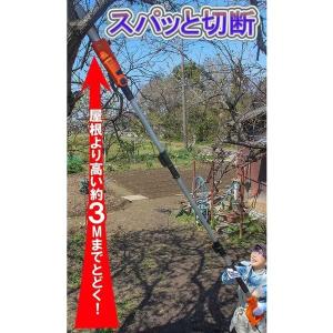 高枝切り 電動チェーンソー 最大282cm 電...の詳細画像2