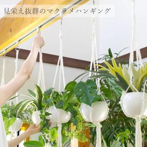 フェイクグリーン マクラメハンギングタイプ 人...の詳細画像1