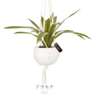 フェイクグリーン マクラメハンギングタイプ 人...の詳細画像4