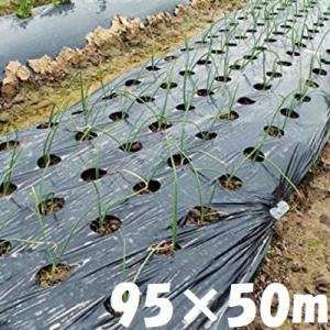 黒マルチシート 0.02mm×75cm×100m×10本セット 1000m クロマルチ 農業用
