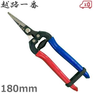 チカマサ 芽切鋏 T-550 2mvetro Amazon | 近正(CHIKAMASA) チカマサ 芽切鋏 T-550 | 高枝切りばさみ