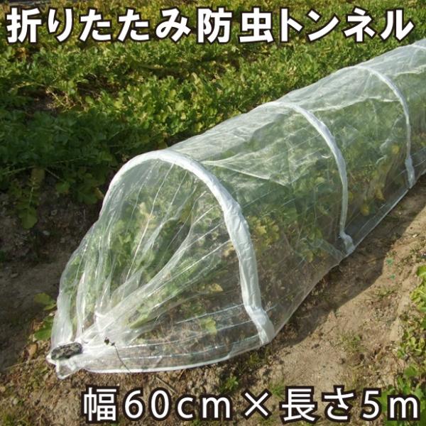 愛農 防虫ネットとトンネル支柱セット 60cm×5m 1mm目 折畳可能 防虫ネット 家庭菜園 防虫...