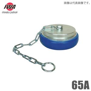 岩崎製作所 町野式媒介金具 町野メス×ガスネジオス 40A 町野女 継手