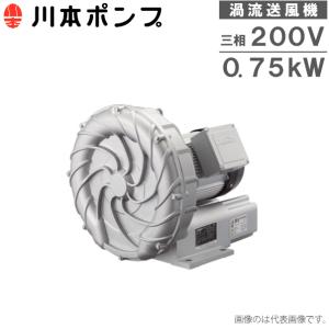 川本 井戸ポンプ 200V 給水ポンプ NR255T NR256T 25mm 250W カワエース