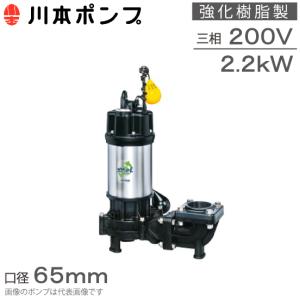 新明和工業 水中ポンプ 汚水 設備用 排水ポンプ CN651-F65 65mm 1.5