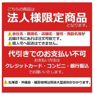 【法人限定】昭和ブリッジ 幅広 アルミブリッジ...の詳細画像4