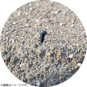 激辛唐辛子エキス 来ん棒 100本 日本製 も...の詳細画像2
